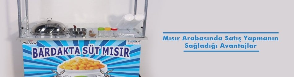 Mısır Arabası